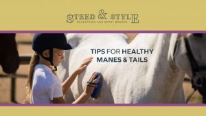 Grooming manes and tails is one of those moments when we feel a deep connection to our horses, doing it right makes all the difference.