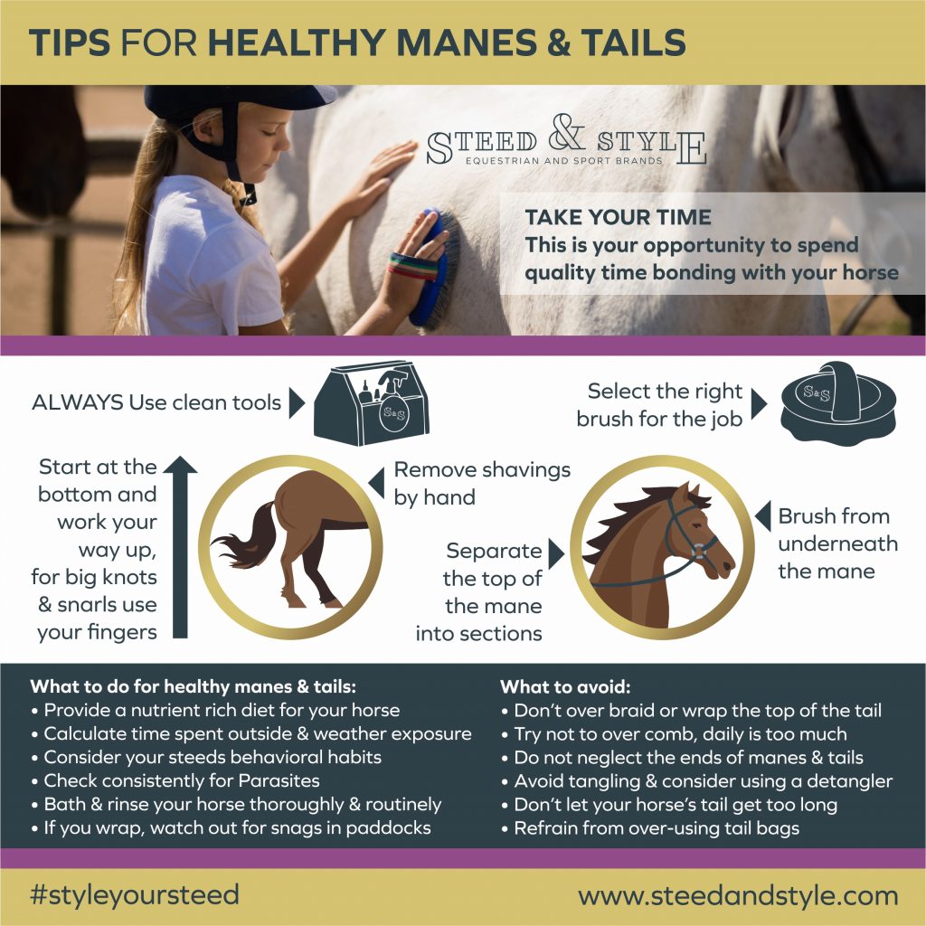 We’ve created a go to poster for quick reminders for you to print and post in your tack room and use to help guide our younger riders on their journey in horse care.