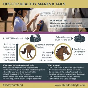 Healthy Manes and Tails - Steed & Style