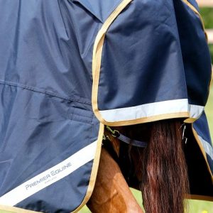 buster-50g-original-turnout-rug-212756n-284743_1024x Steed & Style 2
