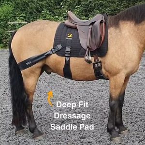 Balance Bands Dressage