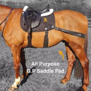 Balance Bands GP style